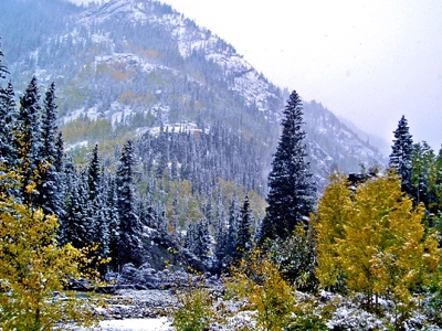 Rio Grande National Forest Winter Fall Beauty 